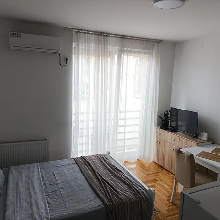 Apartament Nikola Ns *