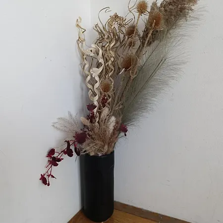 Nikola Ns Lägenhet *